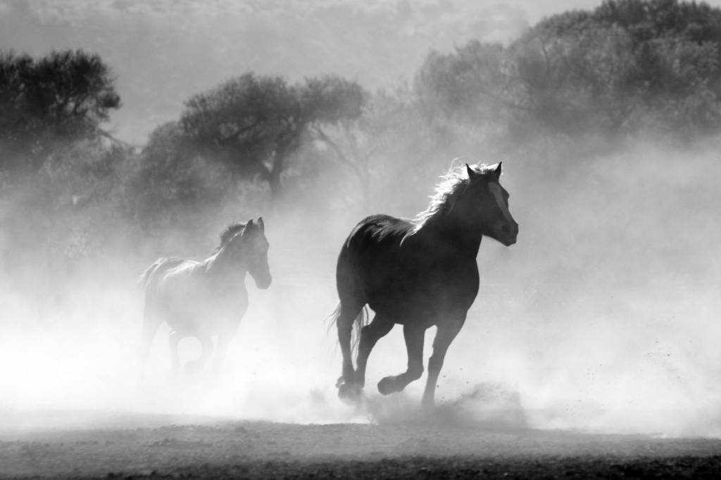 The current image has no alternative text. The file name is: horse-herd-fog-nature-52500.jpeg