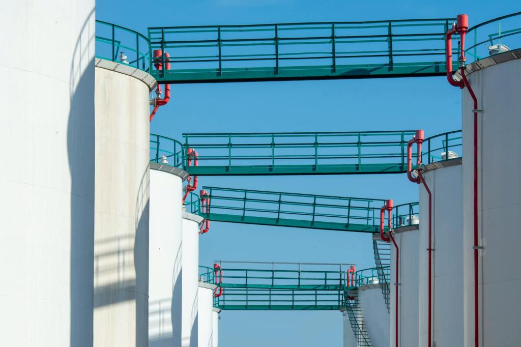 The current image has no alternative text. The file name is: pexels-photo-31587338.jpeg