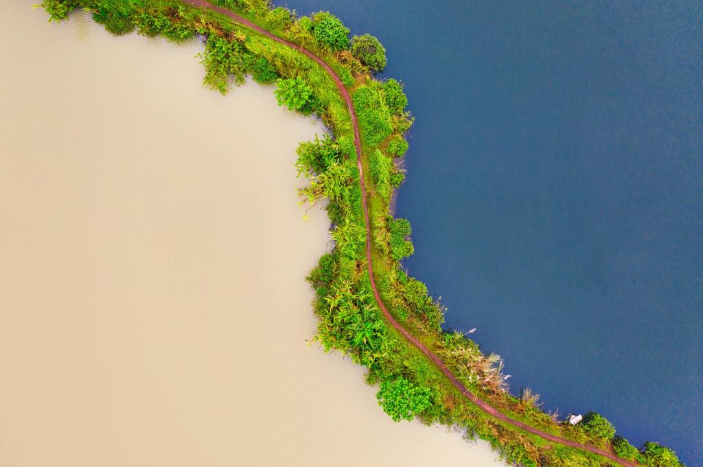 The current image has no alternative text. The file name is: pexels-photo-2246950.jpeg