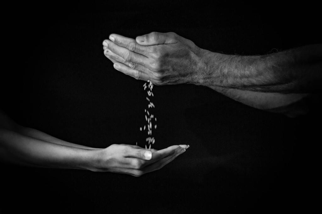 The current image has no alternative text. The file name is: pexels-photo-30831907.jpeg