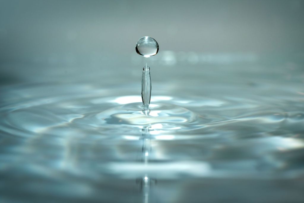 The current image has no alternative text. The file name is: pexels-photo-10615852.jpeg